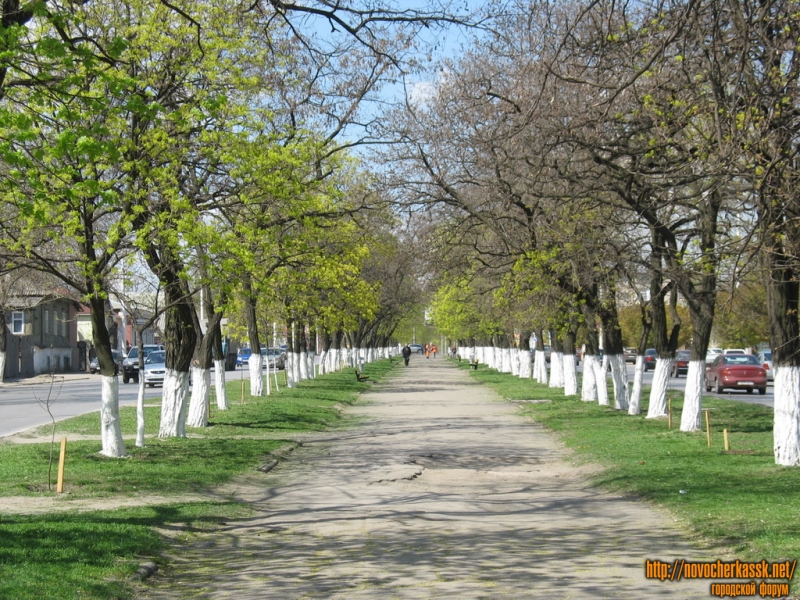 Весенний проспект Баклановский