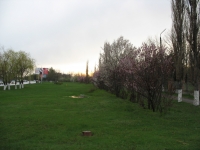 Газон вдоль проспекта Баклановского