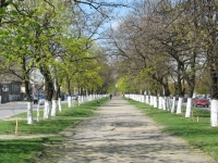 Весенний проспект Баклановский