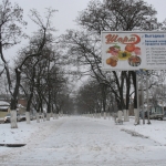 Аллея проспекта Баклановского от перекрестка с Пушкинской к перекрестку с Галины Петровой