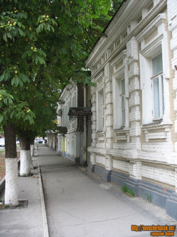 Каштаны вдоль Московской улицы