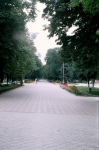 Центральная аллея Александровского парка. 25 августа 2004 г.