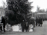 Пересечение Платовского и ул. Московской. Новый год 1971-1972.