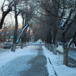 Аллея на улице Пушкинской