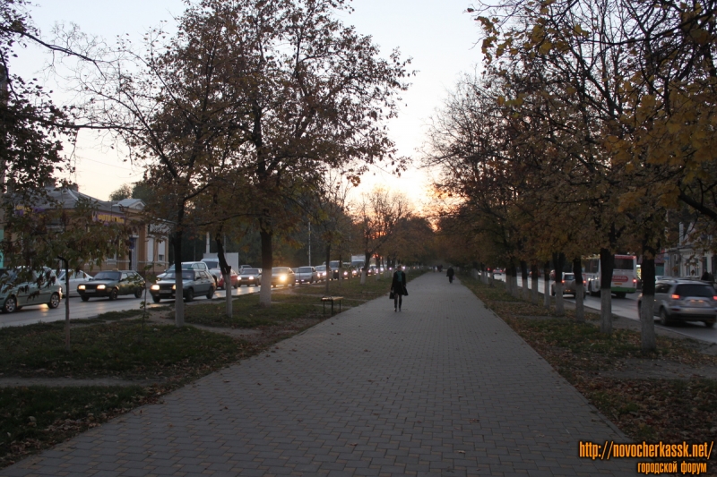 Аллея на проспекте Баклановском