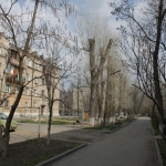 Двор - улица Петрова, 21