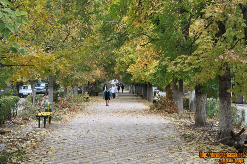 Осенняя аллея на улице Атаманской