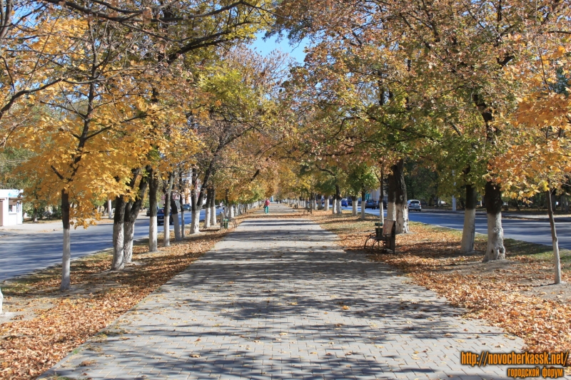 Аллея на Баклановском