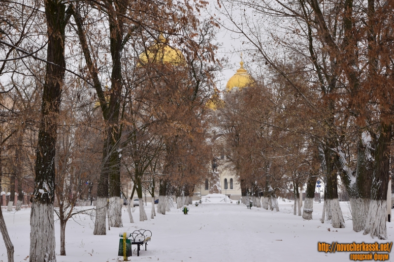 Аллея на проспекте Ермака