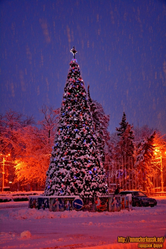 Новогодняя ёлка 2015 в Новочеркасске