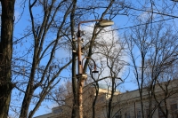 Старый столб на улице Богдана Хмельницкого