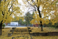 Осень в Александровском парке
