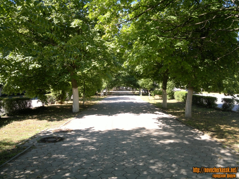 Аллея Платовского проспекта