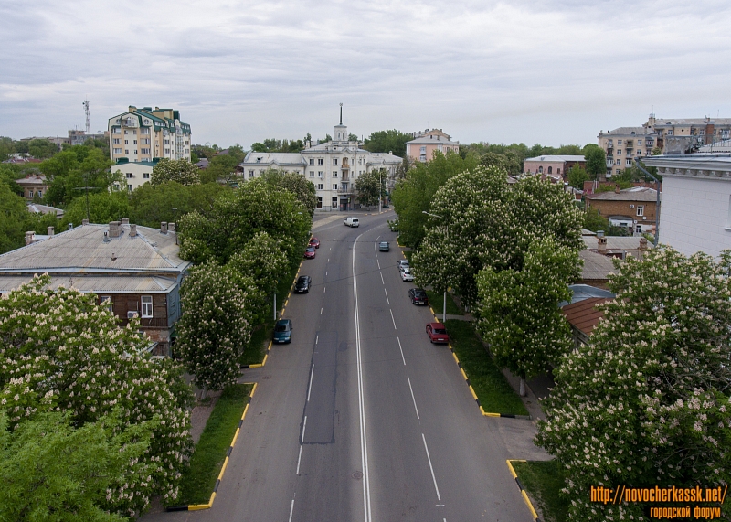Цветение каштанов на улице Московской