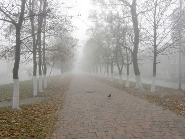 PB020001.JPG