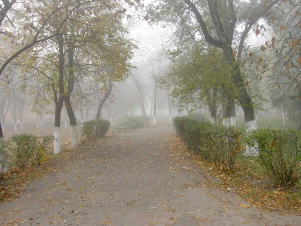 PB020008.JPG