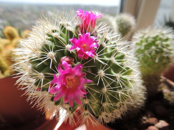 DSCN3728.JPG