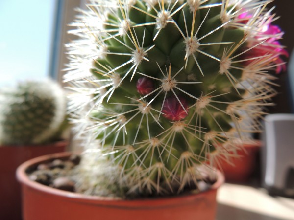 DSCN3731.JPG
