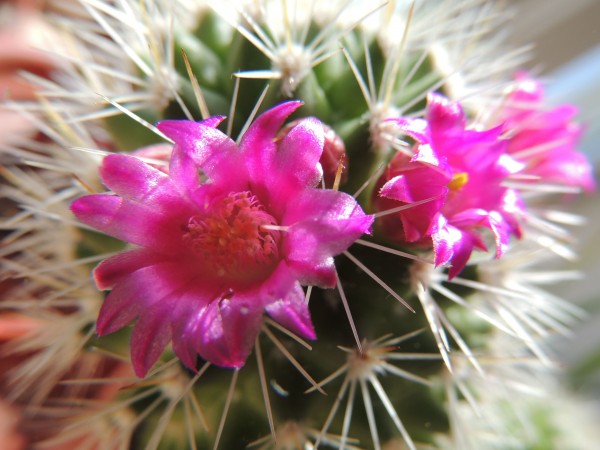 DSCN3743.JPG