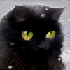 0182.gif
