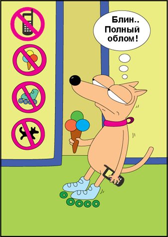 собака.jpg