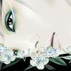 w5.gif