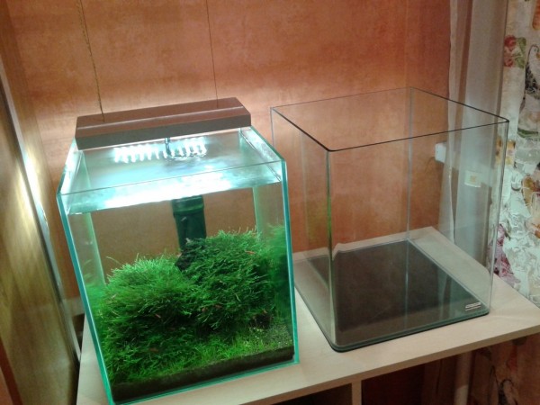 20131026_181401.jpg