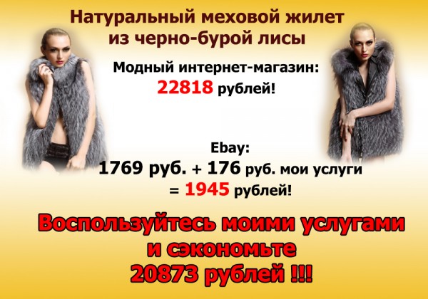 лиса.jpg