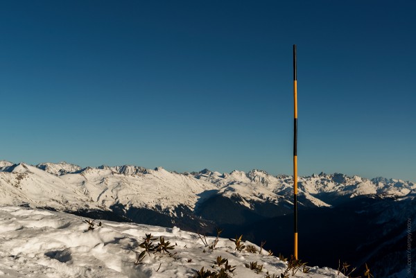 _DSC7413.jpg
