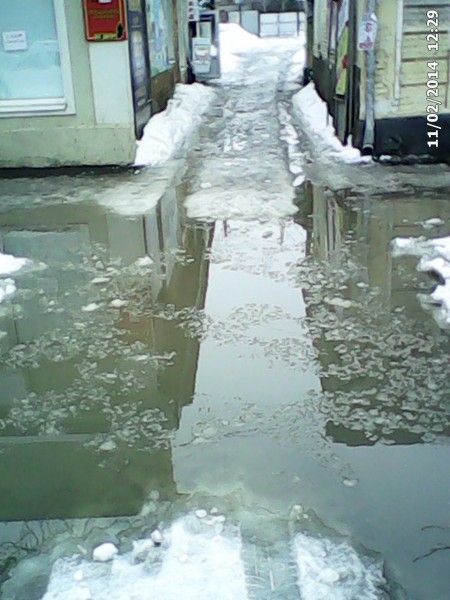 IMG_20140211_122905.jpg