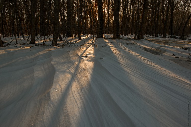 _DSC9016.jpg