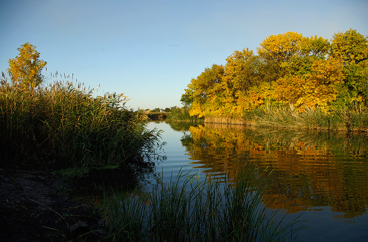 _IGP8487_1.jpg