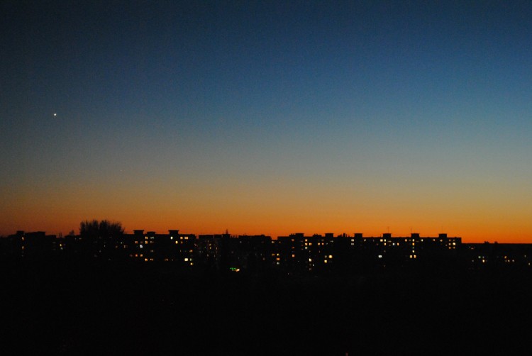 DSC_0866.JPG