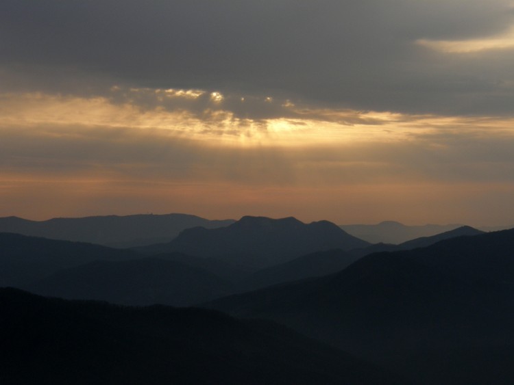 P2151565.JPG