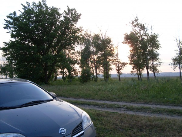 SDC10691.JPG