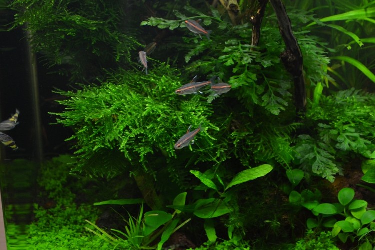 DSC_0266.JPG