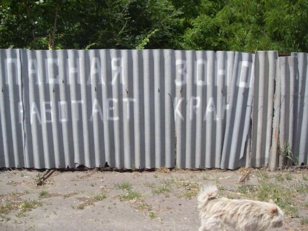 SDC10808.JPG