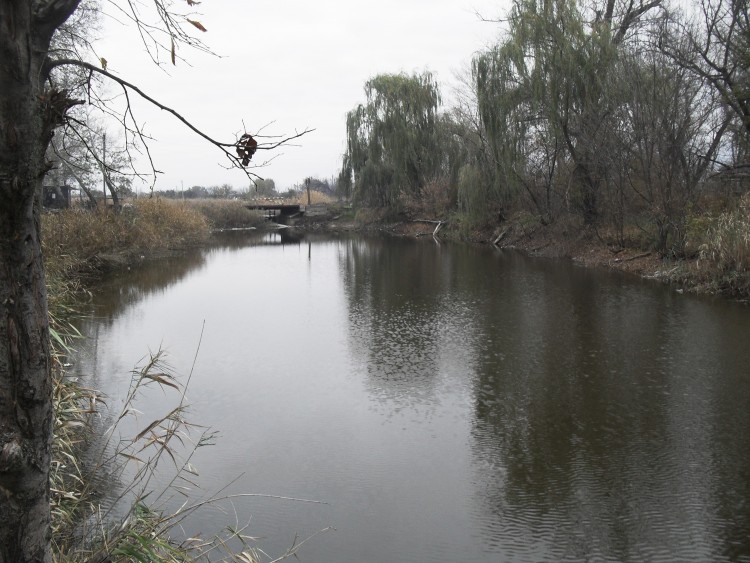 SDC15353.JPG