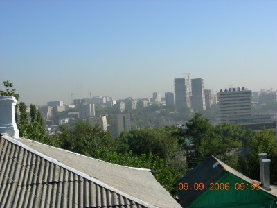 050.jpg