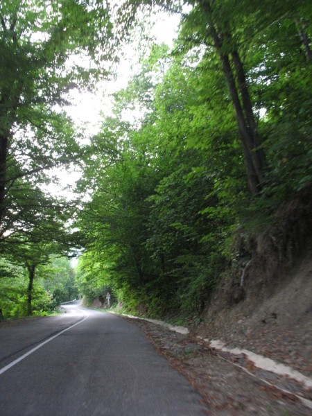 IMG_0452.JPG