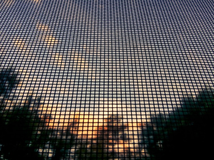 20140806_202430.jpg
