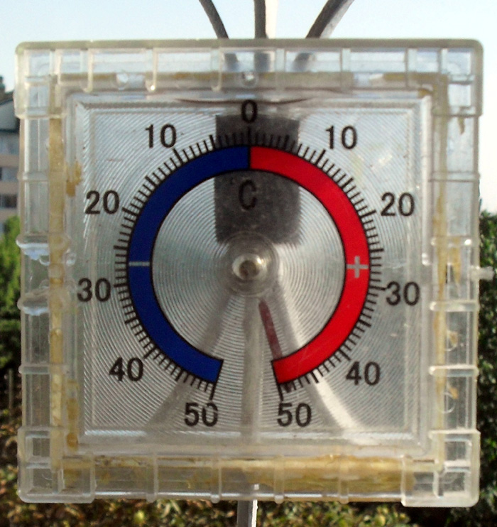 SDC12916.JPG