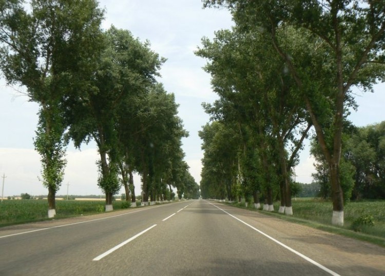 P1000723.JPG