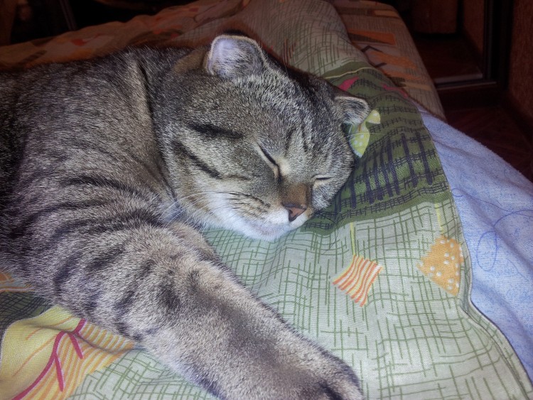 20130108_185747.jpg