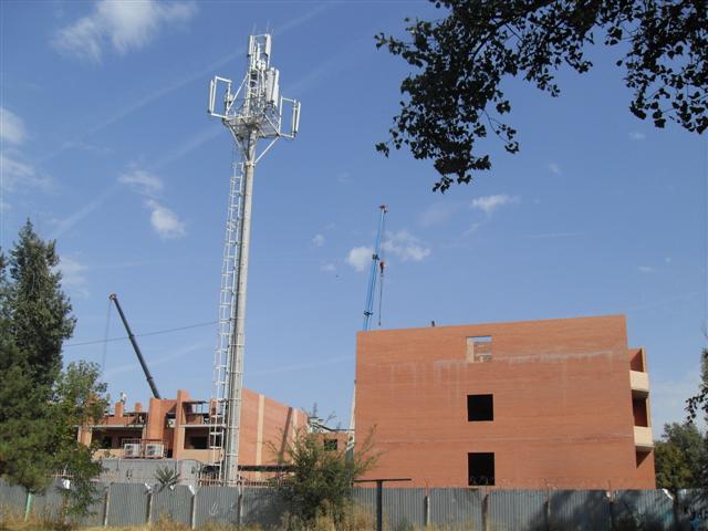 SDC11181 (Small).JPG