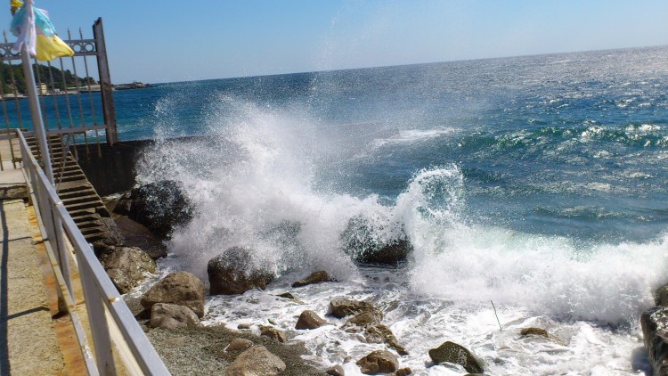 DSC_1413.jpg