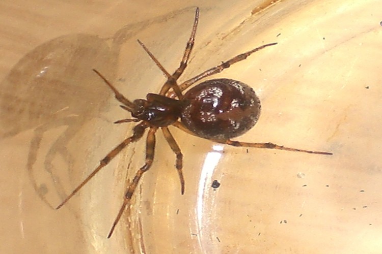 CIMG0648-2.jpg