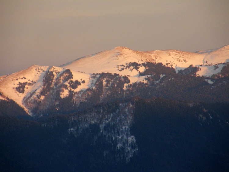 P1060135_изменить размер.JPG