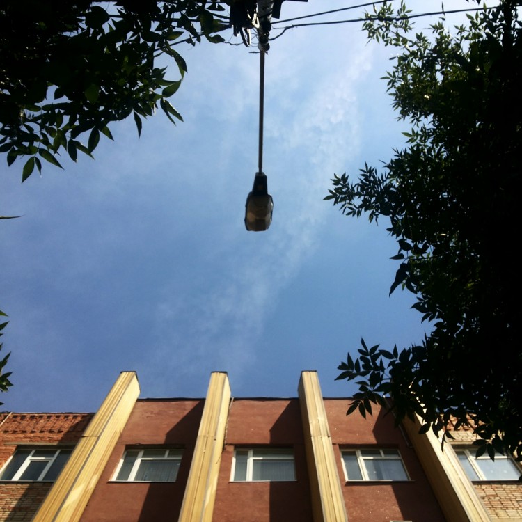 IMG_20140729_161118.jpg