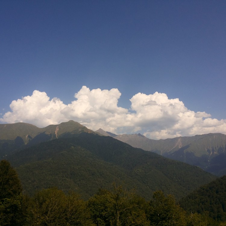 IMG_20140903_150554.jpg